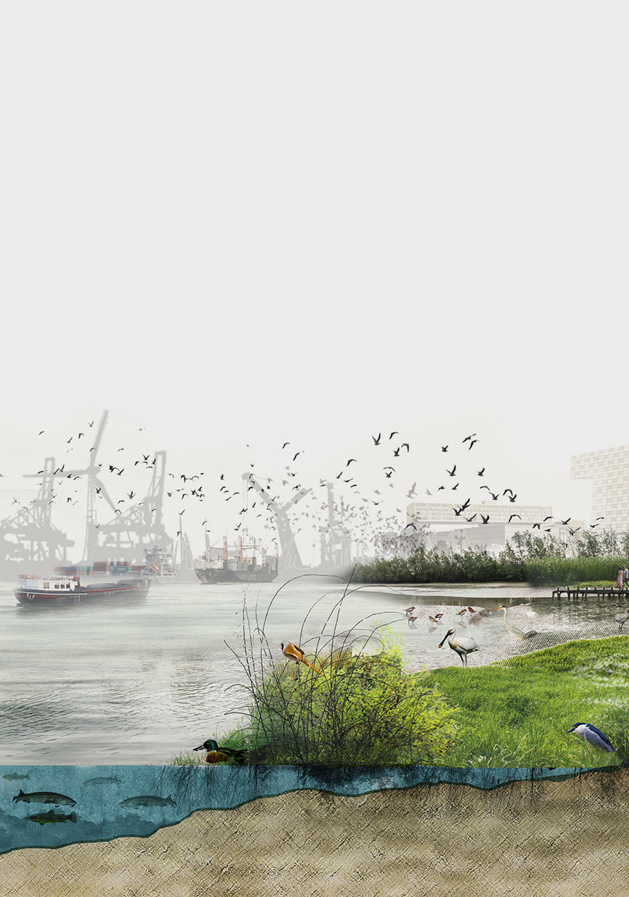 Back to the roots, forward to the future